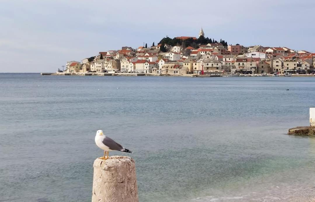 Villa Eni Primošten Εξωτερικό φωτογραφία